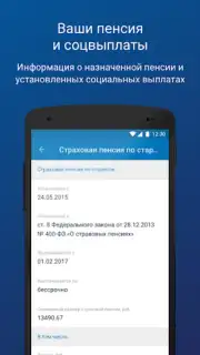 ПФР Электронные сервисы capture 2