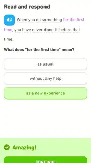 Duolingo capture 5