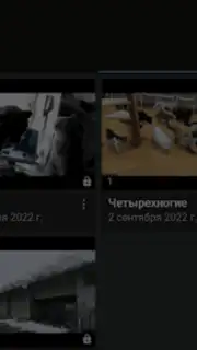 Video App for VK capture 10