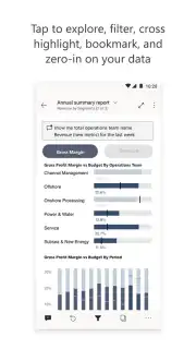 Microsoft Power BI capture 3