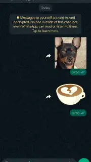 WhatsApp Messenger capture 12