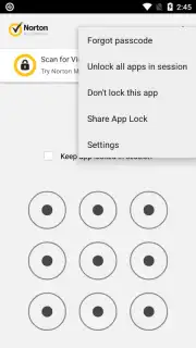 Norton App Lock capture 6