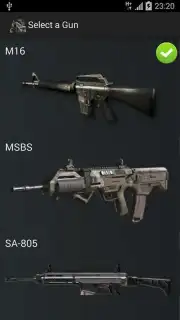 Gun Camera capture 16