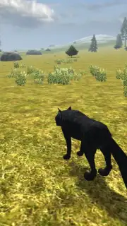 Wild Life: Wolf Clan capture 3