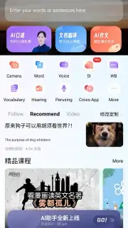 Baidu Translate capture 1