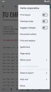 Google Docs capture 14