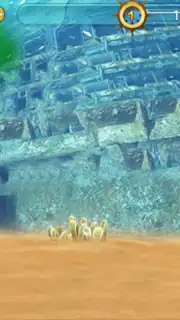 Fish Live capture 5