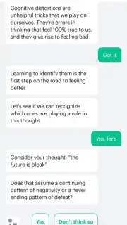 Woebot capture 1