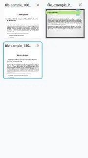 Progromatic DOCS Reader capture 4