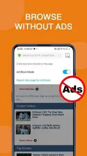 Vivo Browser capture 1