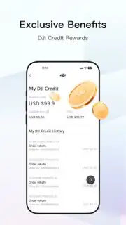 DJI Store capture 3