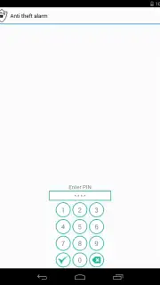 Anti theft alarm capture 3