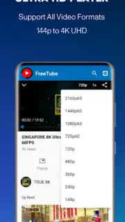 FreeTube capture 2