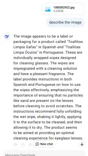DeepSeek capture 5