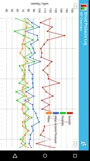 BP Log capture 2