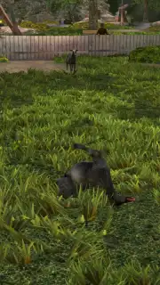 Goat Simulator capture 8