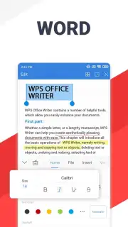 WPS Office capture 13