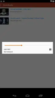 Peggo - YouTube to MP3 Converter capture 2