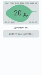 Баланс проездного capture 3