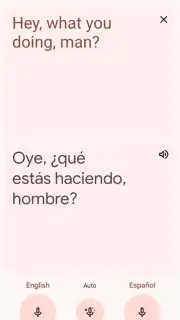 Google Translate capture 12
