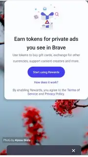 Brave Browser (Beta) capture 3