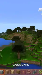 King Craft capture 9