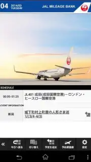 JAL Schedule capture 5