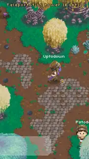 Naica Online capture 9