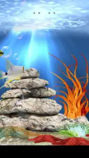 Tropical aquarium capture 7