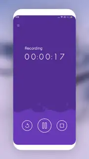 MP3 Recorder capture 8