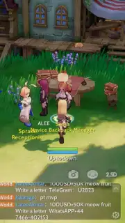 Ragnarok Origin: ROO capture 2