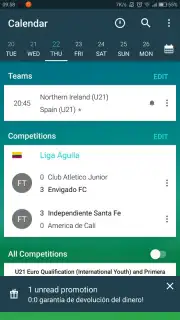 Forza Football capture 4