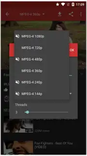 HD Video Downloader capture 5