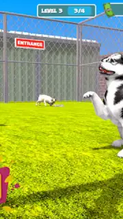 My Pet Animal Shelter World capture 4