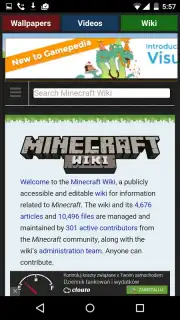 MINE World capture 1