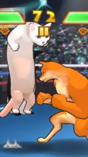 Fight of Animals capture 2