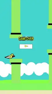 Flying Bird capture 2