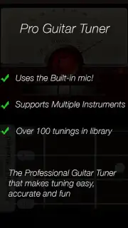 Pro Guitar Tuner capture 1