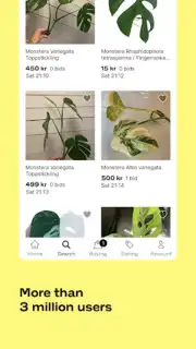 Tradera capture 4