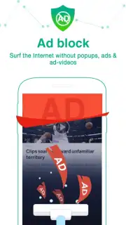 Dolphin Browser HD capture 5
