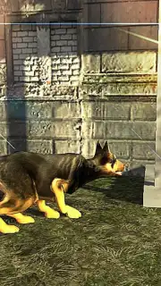 German Shepherd Simulator capture 3