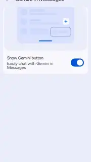 Google Messages capture 20