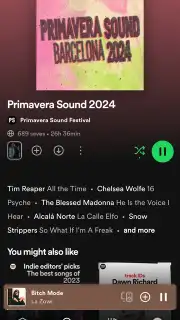 Spotify capture 29