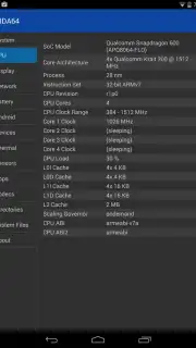 AIDA64 capture 4