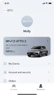 BYD capture 1