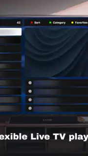 IPTV 4K capture 2