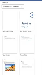 Microsoft Word capture 9