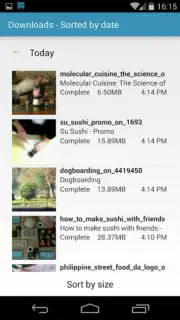 AVD Android Video Downloader capture 4