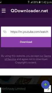 YouTube Video Downloader capture 1