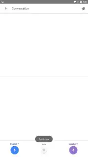 Google Translate capture 5